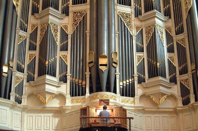 Organ_1.JPG